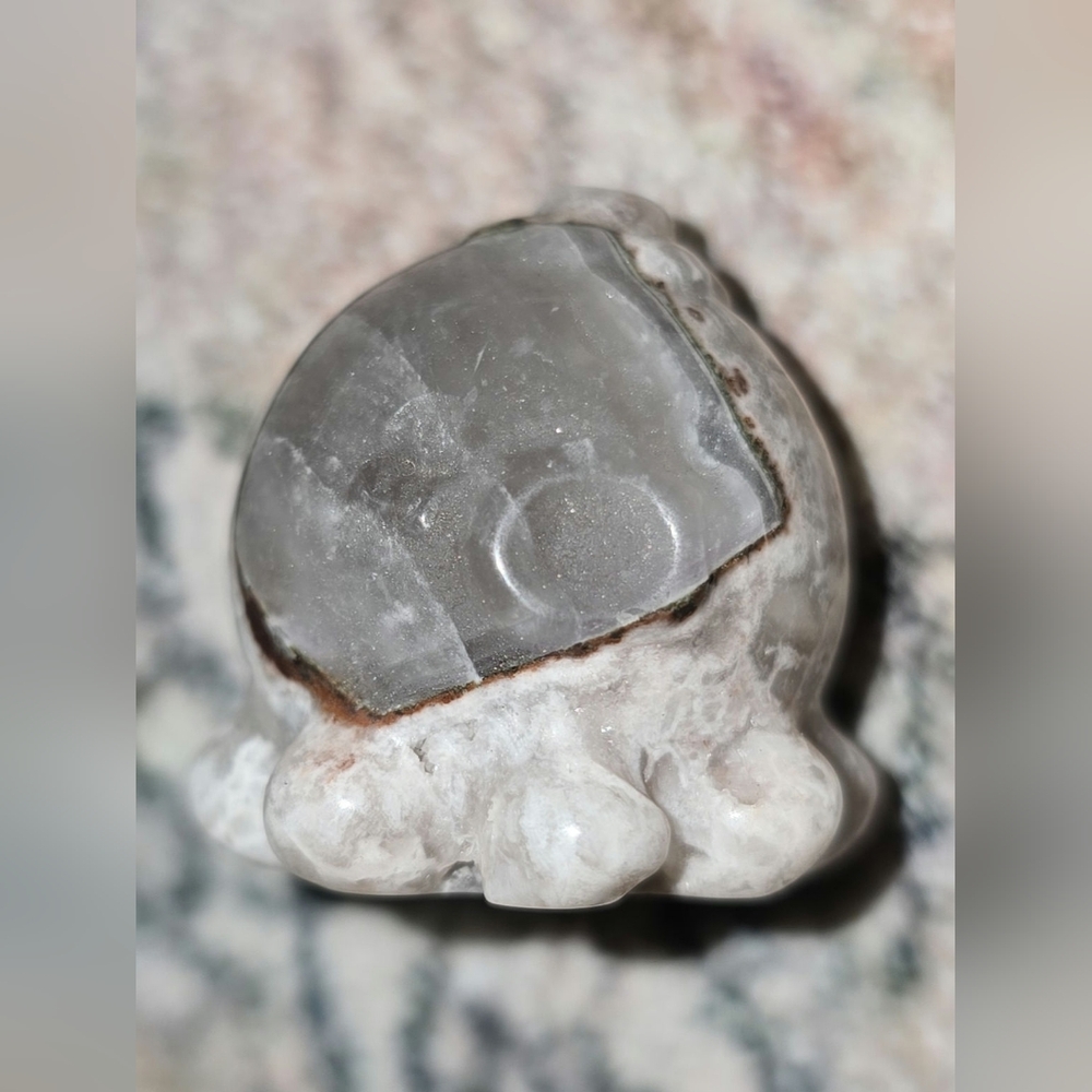 Agate Octopus π - Picture 3 of 3